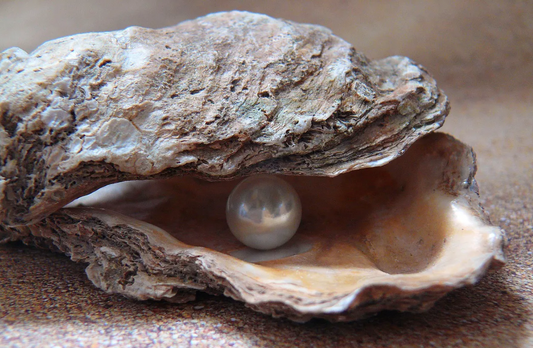 Pearl Types | Nineteen Astras
